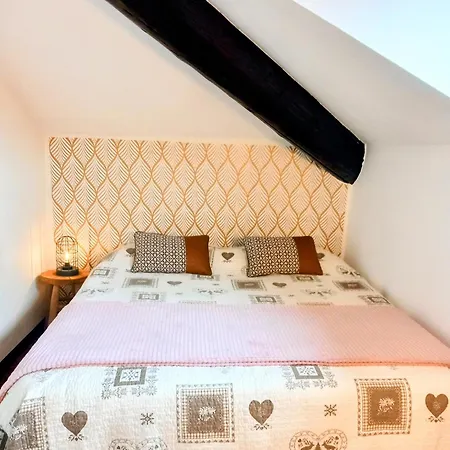 Mansarda In Centro Con Privata E Possibilità Garage Appartement *
