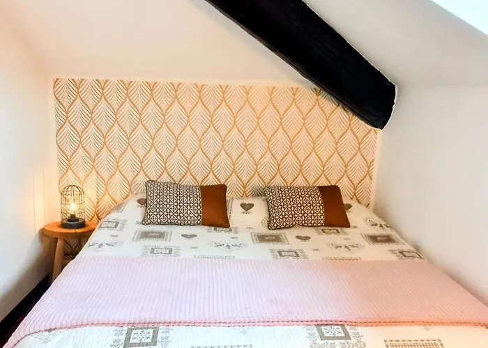 Mansarda In Centro Con Privata E Possibilità Garage Appartement *